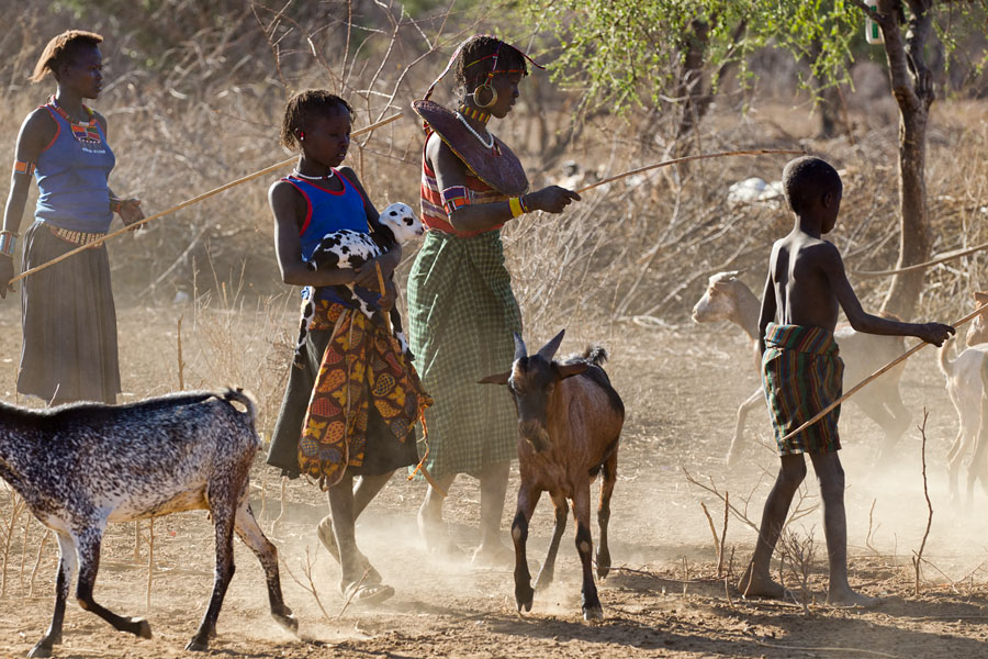 119a. Daily life in a Pokot village   Kenya